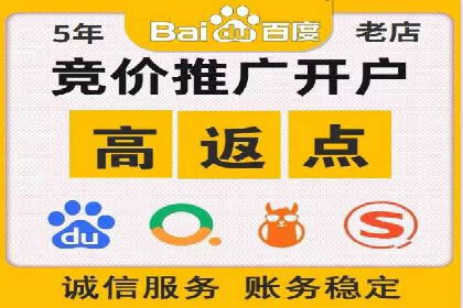 低成本高回报：百度竞价代理成功案例分析