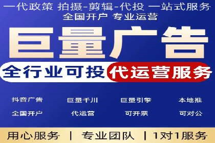 竞价广告投放技巧与案例分析